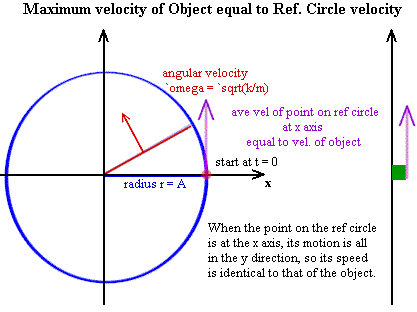 The maximum velocity of an object in simple harmonic motion is equal to the maximum velocity of the point on the associated reference circle;  that velocity is the product of angular velocity omega and radius A, yielding A times square root of k / m.